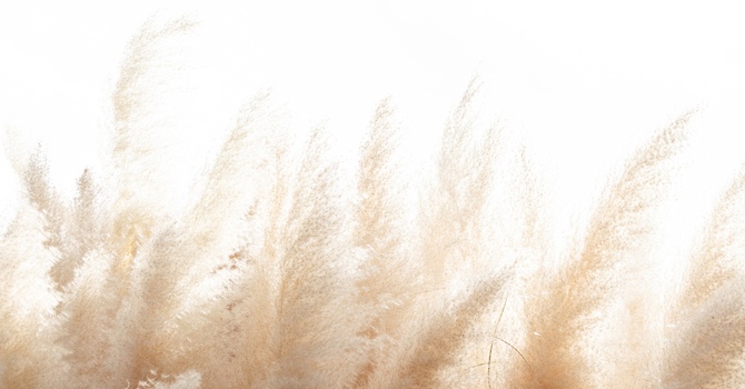 Pregnant Abroad? How to Avoid the Biggest Mistakes When Choosing a Provider in Italy