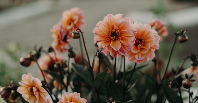 When the Dream Abroad Turns Into a Nightmare: 5 Truths Every Expat Should Know About Emotional Safety