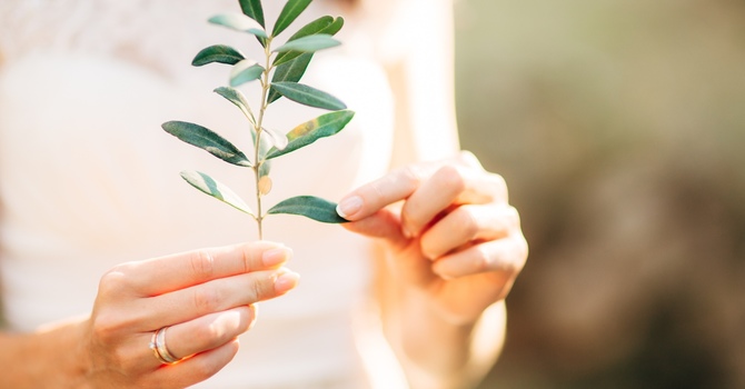 Individual Therapy (Adults & Teens 13-18)