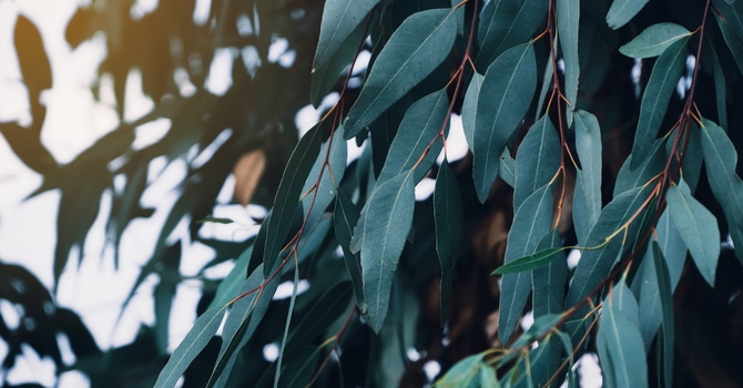 Your Nervous System Never Adjusted: The Real Reason Some Expats Feel Tired, On Edge or "Not Themselves"