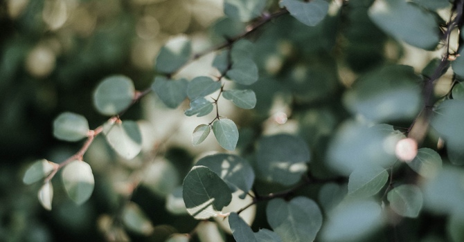 When Emotional Burnout Becomes the World You Live In